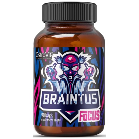Braintus Focus / Gamer Series